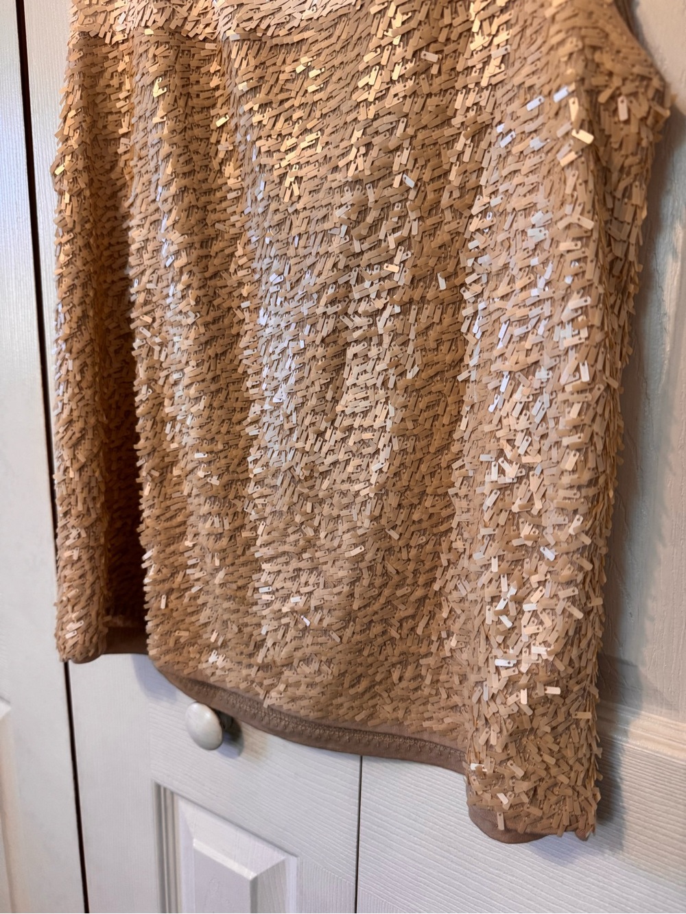 J.Crew Woman’s Size Medium Sequined Sleeveless Embellished Top Champagne - Picture 6 of 13